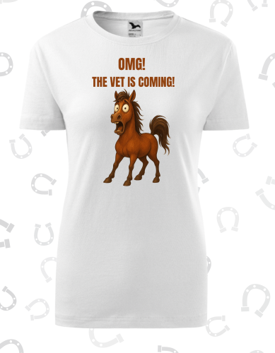 OMG The vet is coming.png